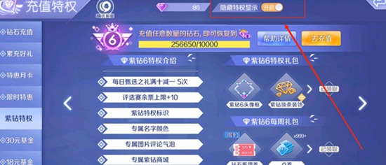 qq炫舞手游怎么隐藏紫钻等级 qq炫舞手游隐藏紫钻等级的方法
