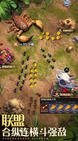 小小蚁国升星材料表 小小蚁国升星所需材料大全