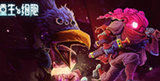 重生细胞不死海滩路线 重生细胞不死海滩路线攻略