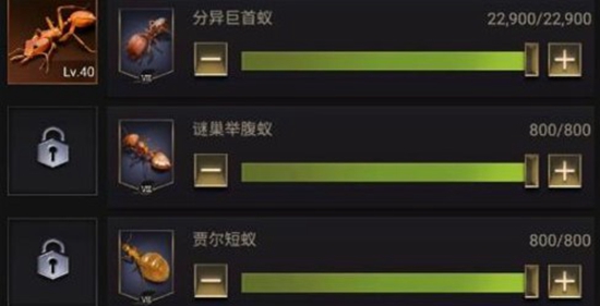 小小蚁国如何培养兵蚁 小小蚁国兵蚁培养攻略