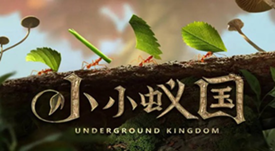 小小蚁国菌怎么使用 小小蚁国菌使用方法介绍