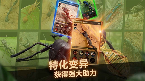 小小蚁国十大最值得养的蚂蚁 十大最值得养的蚂蚁推荐